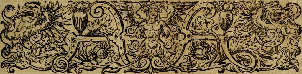 An illustration from Americae pars qvinta Nobilis & admiratione plena Hieronymi Bezoni Mediolanensis, secundae sectionis hiã. Hispanorum : tùm in Nigrittas seruos suos, tùm in Indos crudelitatem, Gallorumq pirataru de Hispanis toties reportata spolia : aduentu item Hispanoru in Nouam Indiæ continentis Hispaniam, eorumq contra incolas eius regionis sæuitiam explicans addita ad singula fere capita scholia, in quibus res Indiæ luculenter exponuntur : accessit præterea tabula chorographica nouæ Hispaniæ in India Occidentalj : ad invictis Rvdolph II ... omnia elegantibus figuris in aes incisis expressa, 1595, leaf 32