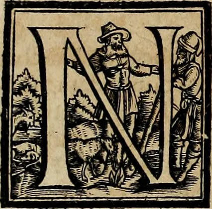 An illustration from Americae pars qvinta Nobilis & admiratione plena Hieronymi Bezoni Mediolanensis, secundae sectionis hiã. Hispanorum : tùm in Nigrittas seruos suos, tùm in Indos crudelitatem, Gallorumq pirataru de Hispanis toties reportata spolia : aduentu item Hispanoru in Nouam Indiæ continentis Hispaniam, eorumq contra incolas eius regionis sæuitiam explicans addita ad singula fere capita scholia, in quibus res Indiæ luculenter exponuntur : accessit præterea tabula chorographica nouæ Hispaniæ in India Occidentalj : ad invictis Rvdolph II ... omnia elegantibus figuris in aes incisis expressa, 1595, leaf 35