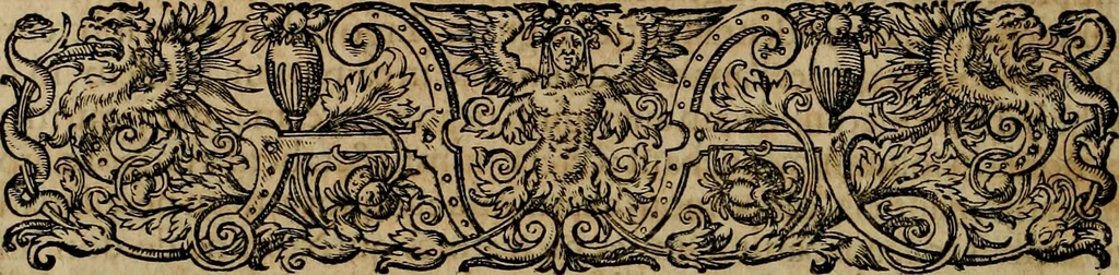 An illustration from Americae pars qvinta Nobilis & admiratione plena Hieronymi Bezoni Mediolanensis, secundae sectionis hiã. Hispanorum : tùm in Nigrittas seruos suos, tùm in Indos crudelitatem, Gallorumq pirataru de Hispanis toties reportata spolia : aduentu item Hispanoru in Nouam Indiæ continentis Hispaniam, eorumq contra incolas eius regionis sæuitiam explicans addita ad singula fere capita scholia, in quibus res Indiæ luculenter exponuntur : accessit præterea tabula chorographica nouæ Hispaniæ in India Occidentalj : ad invictis Rvdolph II ... omnia elegantibus figuris in aes incisis expressa, 1595, leaf 37