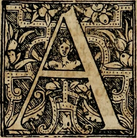 An illustration from Americae pars qvinta Nobilis & admiratione plena Hieronymi Bezoni Mediolanensis, secundae sectionis hiã. Hispanorum : tùm in Nigrittas seruos suos, tùm in Indos crudelitatem, Gallorumq pirataru de Hispanis toties reportata spolia : aduentu item Hispanoru in Nouam Indiæ continentis Hispaniam, eorumq contra incolas eius regionis sæuitiam explicans addita ad singula fere capita scholia, in quibus res Indiæ luculenter exponuntur : accessit præterea tabula chorographica nouæ Hispaniæ in India Occidentalj : ad invictis Rvdolph II ... omnia elegantibus figuris in aes incisis expressa, 1595, leaf 37