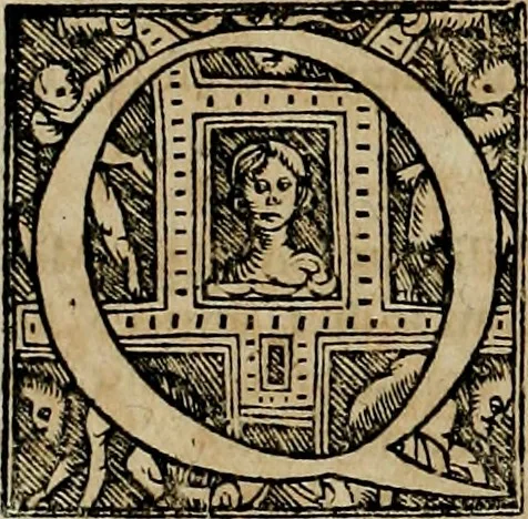 An illustration from Americae pars qvinta Nobilis & admiratione plena Hieronymi Bezoni Mediolanensis, secundae sectionis hiã. Hispanorum : tùm in Nigrittas seruos suos, tùm in Indos crudelitatem, Gallorumq pirataru de Hispanis toties reportata spolia : aduentu item Hispanoru in Nouam Indiæ continentis Hispaniam, eorumq contra incolas eius regionis sæuitiam explicans addita ad singula fere capita scholia, in quibus res Indiæ luculenter exponuntur : accessit præterea tabula chorographica nouæ Hispaniæ in India Occidentalj : ad invictis Rvdolph II ... omnia elegantibus figuris in aes incisis expressa, 1595, leaf 41