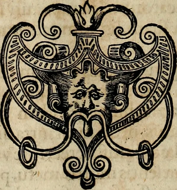 An illustration from Americae pars qvinta Nobilis & admiratione plena Hieronymi Bezoni Mediolanensis, secundae sectionis hiã. Hispanorum : tùm in Nigrittas seruos suos, tùm in Indos crudelitatem, Gallorumq pirataru de Hispanis toties reportata spolia : aduentu item Hispanoru in Nouam Indiæ continentis Hispaniam, eorumq contra incolas eius regionis sæuitiam explicans addita ad singula fere capita scholia, in quibus res Indiæ luculenter exponuntur : accessit præterea tabula chorographica nouæ Hispaniæ in India Occidentalj : ad invictis Rvdolph II ... omnia elegantibus figuris in aes incisis expressa, 1595, leaf 43