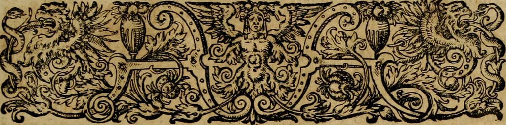 An illustration from Americae pars qvinta Nobilis & admiratione plena Hieronymi Bezoni Mediolanensis, secundae sectionis hiã. Hispanorum : tùm in Nigrittas seruos suos, tùm in Indos crudelitatem, Gallorumq pirataru de Hispanis toties reportata spolia : aduentu item Hispanoru in Nouam Indiæ continentis Hispaniam, eorumq contra incolas eius regionis sæuitiam explicans addita ad singula fere capita scholia, in quibus res Indiæ luculenter exponuntur : accessit præterea tabula chorographica nouæ Hispaniæ in India Occidentalj : ad invictis Rvdolph II ... omnia elegantibus figuris in aes incisis expressa, 1595, leaf 44