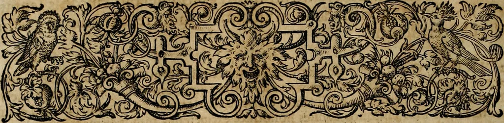 An illustration from Americae pars qvinta Nobilis & admiratione plena Hieronymi Bezoni Mediolanensis, secundae sectionis hiã. Hispanorum : tùm in Nigrittas seruos suos, tùm in Indos crudelitatem, Gallorumq pirataru de Hispanis toties reportata spolia : aduentu item Hispanoru in Nouam Indiæ continentis Hispaniam, eorumq contra incolas eius regionis sæuitiam explicans addita ad singula fere capita scholia, in quibus res Indiæ luculenter exponuntur : accessit præterea tabula chorographica nouæ Hispaniæ in India Occidentalj : ad invictis Rvdolph II ... omnia elegantibus figuris in aes incisis expressa, 1595, leaf 49
