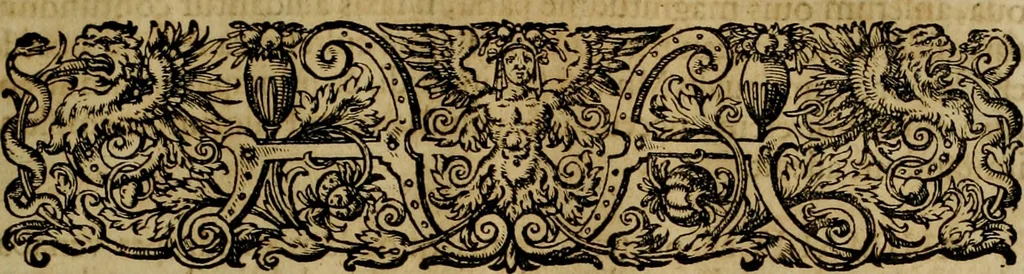 An illustration from Americae pars qvinta Nobilis & admiratione plena Hieronymi Bezoni Mediolanensis, secundae sectionis hiã. Hispanorum : tùm in Nigrittas seruos suos, tùm in Indos crudelitatem, Gallorumq pirataru de Hispanis toties reportata spolia : aduentu item Hispanoru in Nouam Indiæ continentis Hispaniam, eorumq contra incolas eius regionis sæuitiam explicans addita ad singula fere capita scholia, in quibus res Indiæ luculenter exponuntur : accessit præterea tabula chorographica nouæ Hispaniæ in India Occidentalj : ad invictis Rvdolph II ... omnia elegantibus figuris in aes incisis expressa, 1595, leaf 54
