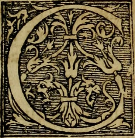 An illustration from Americae pars qvinta Nobilis & admiratione plena Hieronymi Bezoni Mediolanensis, secundae sectionis hiã. Hispanorum : tùm in Nigrittas seruos suos, tùm in Indos crudelitatem, Gallorumq pirataru de Hispanis toties reportata spolia : aduentu item Hispanoru in Nouam Indiæ continentis Hispaniam, eorumq contra incolas eius regionis sæuitiam explicans addita ad singula fere capita scholia, in quibus res Indiæ luculenter exponuntur : accessit præterea tabula chorographica nouæ Hispaniæ in India Occidentalj : ad invictis Rvdolph II ... omnia elegantibus figuris in aes incisis expressa, 1595, leaf 54
