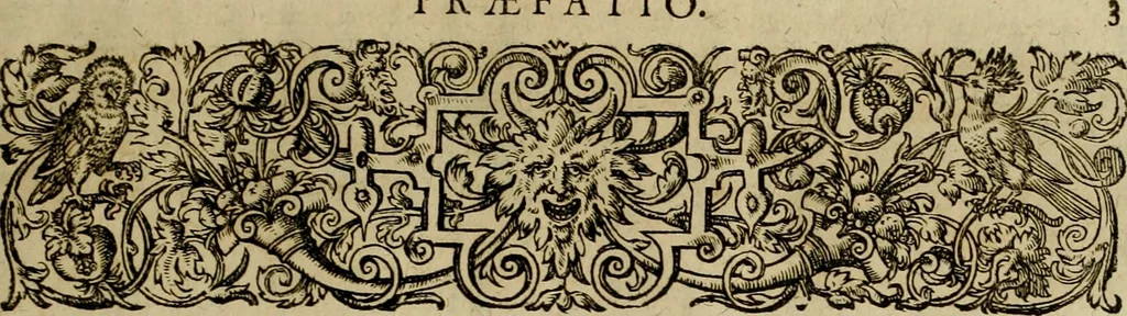 An illustration from Americae pars qvinta Nobilis & admiratione plena Hieronymi Bezoni Mediolanensis, secundae sectionis hiã. Hispanorum : tùm in Nigrittas seruos suos, tùm in Indos crudelitatem, Gallorumq pirataru de Hispanis toties reportata spolia : aduentu item Hispanoru in Nouam Indiæ continentis Hispaniam, eorumq contra incolas eius regionis sæuitiam explicans addita ad singula fere capita scholia, in quibus res Indiæ luculenter exponuntur : accessit præterea tabula chorographica nouæ Hispaniæ in India Occidentalj : ad invictis Rvdolph II ... omnia elegantibus figuris in aes incisis expressa, 1595, leaf 6