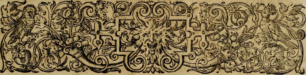 An illustration from Americae pars qvinta Nobilis & admiratione plena Hieronymi Bezoni Mediolanensis, secundae sectionis hiã. Hispanorum : tùm in Nigrittas seruos suos, tùm in Indos crudelitatem, Gallorumq pirataru de Hispanis toties reportata spolia : aduentu item Hispanoru in Nouam Indiæ continentis Hispaniam, eorumq contra incolas eius regionis sæuitiam explicans addita ad singula fere capita scholia, in quibus res Indiæ luculenter exponuntur : accessit præterea tabula chorographica nouæ Hispaniæ in India Occidentalj : ad invictis Rvdolph II ... omnia elegantibus figuris in aes incisis expressa, 1595, leaf 62