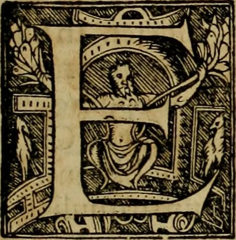 An illustration from Americae pars qvinta Nobilis & admiratione plena Hieronymi Bezoni Mediolanensis, secundae sectionis hiã. Hispanorum : tùm in Nigrittas seruos suos, tùm in Indos crudelitatem, Gallorumq pirataru de Hispanis toties reportata spolia : aduentu item Hispanoru in Nouam Indiæ continentis Hispaniam, eorumq contra incolas eius regionis sæuitiam explicans addita ad singula fere capita scholia, in quibus res Indiæ luculenter exponuntur : accessit præterea tabula chorographica nouæ Hispaniæ in India Occidentalj : ad invictis Rvdolph II ... omnia elegantibus figuris in aes incisis expressa, 1595, leaf 62