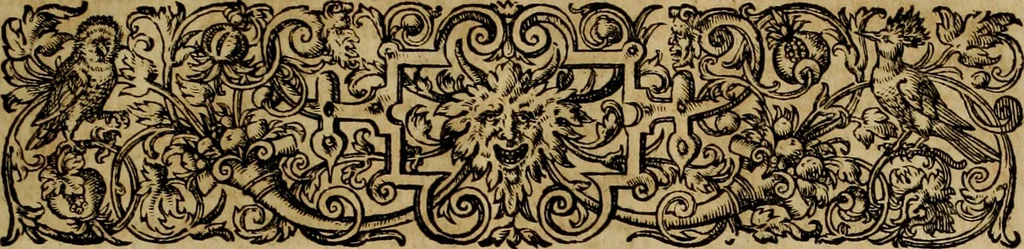 An illustration from Americae pars qvinta Nobilis & admiratione plena Hieronymi Bezoni Mediolanensis, secundae sectionis hiã. Hispanorum : tùm in Nigrittas seruos suos, tùm in Indos crudelitatem, Gallorumq pirataru de Hispanis toties reportata spolia : aduentu item Hispanoru in Nouam Indiæ continentis Hispaniam, eorumq contra incolas eius regionis sæuitiam explicans addita ad singula fere capita scholia, in quibus res Indiæ luculenter exponuntur : accessit præterea tabula chorographica nouæ Hispaniæ in India Occidentalj : ad invictis Rvdolph II ... omnia elegantibus figuris in aes incisis expressa, 1595, leaf 68