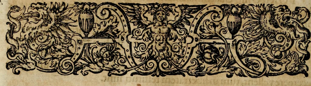 An illustration from Americae pars qvinta Nobilis & admiratione plena Hieronymi Bezoni Mediolanensis, secundae sectionis hiã. Hispanorum : tùm in Nigrittas seruos suos, tùm in Indos crudelitatem, Gallorumq pirataru de Hispanis toties reportata spolia : aduentu item Hispanoru in Nouam Indiæ continentis Hispaniam, eorumq contra incolas eius regionis sæuitiam explicans addita ad singula fere capita scholia, in quibus res Indiæ luculenter exponuntur : accessit præterea tabula chorographica nouæ Hispaniæ in India Occidentalj : ad invictis Rvdolph II ... omnia elegantibus figuris in aes incisis expressa, 1595, leaf 73
