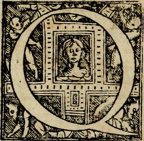An illustration from Americae pars qvinta Nobilis & admiratione plena Hieronymi Bezoni Mediolanensis, secundae sectionis hiã. Hispanorum : tùm in Nigrittas seruos suos, tùm in Indos crudelitatem, Gallorumq pirataru de Hispanis toties reportata spolia : aduentu item Hispanoru in Nouam Indiæ continentis Hispaniam, eorumq contra incolas eius regionis sæuitiam explicans addita ad singula fere capita scholia, in quibus res Indiæ luculenter exponuntur : accessit præterea tabula chorographica nouæ Hispaniæ in India Occidentalj : ad invictis Rvdolph II ... omnia elegantibus figuris in aes incisis expressa, 1595, leaf 73