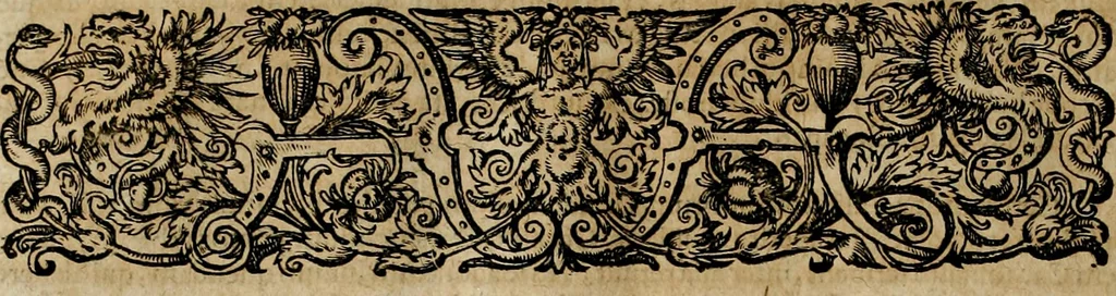An illustration from Americae pars qvinta Nobilis & admiratione plena Hieronymi Bezoni Mediolanensis, secundae sectionis hiã. Hispanorum : tùm in Nigrittas seruos suos, tùm in Indos crudelitatem, Gallorumq pirataru de Hispanis toties reportata spolia : aduentu item Hispanoru in Nouam Indiæ continentis Hispaniam, eorumq contra incolas eius regionis sæuitiam explicans addita ad singula fere capita scholia, in quibus res Indiæ luculenter exponuntur : accessit præterea tabula chorographica nouæ Hispaniæ in India Occidentalj : ad invictis Rvdolph II ... omnia elegantibus figuris in aes incisis expressa, 1595, leaf 77