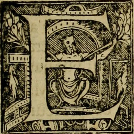 An illustration from Americae pars qvinta Nobilis & admiratione plena Hieronymi Bezoni Mediolanensis, secundae sectionis hiã. Hispanorum : tùm in Nigrittas seruos suos, tùm in Indos crudelitatem, Gallorumq pirataru de Hispanis toties reportata spolia : aduentu item Hispanoru in Nouam Indiæ continentis Hispaniam, eorumq contra incolas eius regionis sæuitiam explicans addita ad singula fere capita scholia, in quibus res Indiæ luculenter exponuntur : accessit præterea tabula chorographica nouæ Hispaniæ in India Occidentalj : ad invictis Rvdolph II ... omnia elegantibus figuris in aes incisis expressa, 1595, leaf 8