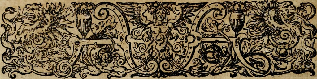 An illustration from Americae pars qvinta Nobilis & admiratione plena Hieronymi Bezoni Mediolanensis, secundae sectionis hiã. Hispanorum : tùm in Nigrittas seruos suos, tùm in Indos crudelitatem, Gallorumq pirataru de Hispanis toties reportata spolia : aduentu item Hispanoru in Nouam Indiæ continentis Hispaniam, eorumq contra incolas eius regionis sæuitiam explicans addita ad singula fere capita scholia, in quibus res Indiæ luculenter exponuntur : accessit præterea tabula chorographica nouæ Hispaniæ in India Occidentalj : ad invictis Rvdolph II ... omnia elegantibus figuris in aes incisis expressa, 1595, leaf 81