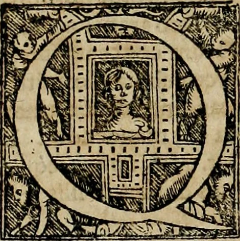 An illustration from Americae pars qvinta Nobilis & admiratione plena Hieronymi Bezoni Mediolanensis, secundae sectionis hiã. Hispanorum : tùm in Nigrittas seruos suos, tùm in Indos crudelitatem, Gallorumq pirataru de Hispanis toties reportata spolia : aduentu item Hispanoru in Nouam Indiæ continentis Hispaniam, eorumq contra incolas eius regionis sæuitiam explicans addita ad singula fere capita scholia, in quibus res Indiæ luculenter exponuntur : accessit præterea tabula chorographica nouæ Hispaniæ in India Occidentalj : ad invictis Rvdolph II ... omnia elegantibus figuris in aes incisis expressa, 1595, leaf 81