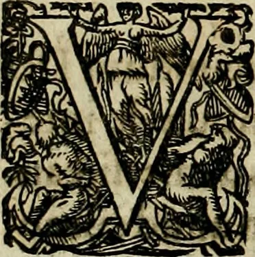 An illustration from Americae pars sexta, siue, Historiæ ab Hieronymo Bezono Mediolanese scriptæ, sectio tertia : res nõ minus nobiles & admiratione plenas continens, quàm præcedentes duæ : in hac enim reperies, qua ratione Hispani opuletissimas illas Peruäni regni prouincias occuparint, capto Rege Atabaliba : deide orta inter ipsos Hispanos in eo regno ciuilia bella : additus est breuis de fortunatis insulis cõmentariolus in duo capita distinctus : item additiones ad singula capita historiam illustrantes : accesit Perväni regni chorographica tabula ... : omnia elegantibus figuris in æs incisis expressa ;, 1596, leaf 101