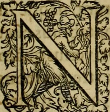 An illustration from Americae pars sexta, siue, Historiæ ab Hieronymo Bezono Mediolanese scriptæ, sectio tertia : res nõ minus nobiles & admiratione plenas continens, quàm præcedentes duæ : in hac enim reperies, qua ratione Hispani opuletissimas illas Peruäni regni prouincias occuparint, capto Rege Atabaliba : deide orta inter ipsos Hispanos in eo regno ciuilia bella : additus est breuis de fortunatis insulis cõmentariolus in duo capita distinctus : item additiones ad singula capita historiam illustrantes : accesit Perväni regni chorographica tabula ... : omnia elegantibus figuris in æs incisis expressa ;, 1596, leaf 102