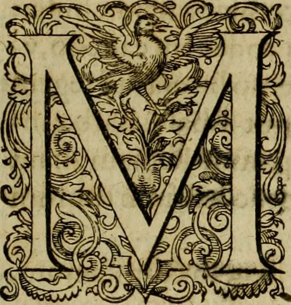 An illustration from Americae pars sexta, siue, Historiæ ab Hieronymo Bezono Mediolanese scriptæ, sectio tertia : res nõ minus nobiles & admiratione plenas continens, quàm præcedentes duæ : in hac enim reperies, qua ratione Hispani opuletissimas illas Peruäni regni prouincias occuparint, capto Rege Atabaliba : deide orta inter ipsos Hispanos in eo regno ciuilia bella : additus est breuis de fortunatis insulis cõmentariolus in duo capita distinctus : item additiones ad singula capita historiam illustrantes : accesit Perväni regni chorographica tabula ... : omnia elegantibus figuris in æs incisis expressa ;, 1596, leaf 106