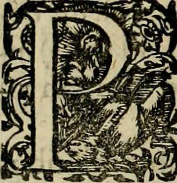 An illustration from Americae pars sexta, siue, Historiæ ab Hieronymo Bezono Mediolanese scriptæ, sectio tertia : res nõ minus nobiles & admiratione plenas continens, quàm præcedentes duæ : in hac enim reperies, qua ratione Hispani opuletissimas illas Peruäni regni prouincias occuparint, capto Rege Atabaliba : deide orta inter ipsos Hispanos in eo regno ciuilia bella : additus est breuis de fortunatis insulis cõmentariolus in duo capita distinctus : item additiones ad singula capita historiam illustrantes : accesit Perväni regni chorographica tabula ... : omnia elegantibus figuris in æs incisis expressa ;, 1596, leaf 11