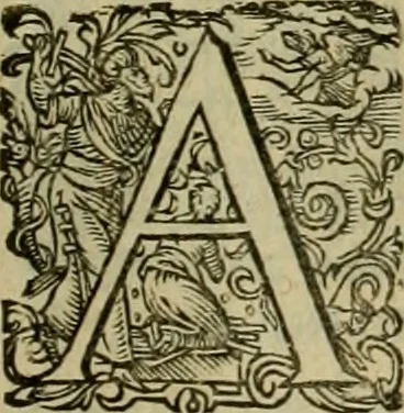 An illustration from Americae pars sexta, siue, Historiæ ab Hieronymo Bezono Mediolanese scriptæ, sectio tertia : res nõ minus nobiles & admiratione plenas continens, quàm præcedentes duæ : in hac enim reperies, qua ratione Hispani opuletissimas illas Peruäni regni prouincias occuparint, capto Rege Atabaliba : deide orta inter ipsos Hispanos in eo regno ciuilia bella : additus est breuis de fortunatis insulis cõmentariolus in duo capita distinctus : item additiones ad singula capita historiam illustrantes : accesit Perväni regni chorographica tabula ... : omnia elegantibus figuris in æs incisis expressa ;, 1596, leaf 112