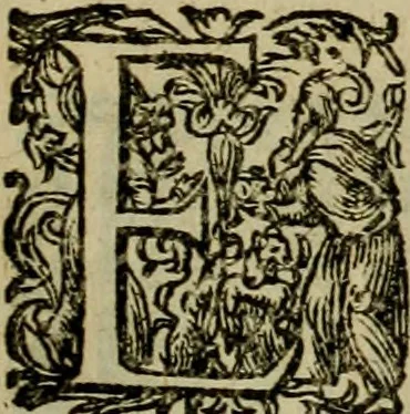 An illustration from Americae pars sexta, siue, Historiæ ab Hieronymo Bezono Mediolanese scriptæ, sectio tertia : res nõ minus nobiles & admiratione plenas continens, quàm præcedentes duæ : in hac enim reperies, qua ratione Hispani opuletissimas illas Peruäni regni prouincias occuparint, capto Rege Atabaliba : deide orta inter ipsos Hispanos in eo regno ciuilia bella : additus est breuis de fortunatis insulis cõmentariolus in duo capita distinctus : item additiones ad singula capita historiam illustrantes : accesit Perväni regni chorographica tabula ... : omnia elegantibus figuris in æs incisis expressa ;, 1596, leaf 114
