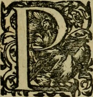 An illustration from Americae pars sexta, siue, Historiæ ab Hieronymo Bezono Mediolanese scriptæ, sectio tertia : res nõ minus nobiles & admiratione plenas continens, quàm præcedentes duæ : in hac enim reperies, qua ratione Hispani opuletissimas illas Peruäni regni prouincias occuparint, capto Rege Atabaliba : deide orta inter ipsos Hispanos in eo regno ciuilia bella : additus est breuis de fortunatis insulis cõmentariolus in duo capita distinctus : item additiones ad singula capita historiam illustrantes : accesit Perväni regni chorographica tabula ... : omnia elegantibus figuris in æs incisis expressa ;, 1596, leaf 120
