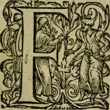 An illustration from Americae pars sexta, siue, Historiæ ab Hieronymo Bezono Mediolanese scriptæ, sectio tertia : res nõ minus nobiles & admiratione plenas continens, quàm præcedentes duæ : in hac enim reperies, qua ratione Hispani opuletissimas illas Peruäni regni prouincias occuparint, capto Rege Atabaliba : deide orta inter ipsos Hispanos in eo regno ciuilia bella : additus est breuis de fortunatis insulis cõmentariolus in duo capita distinctus : item additiones ad singula capita historiam illustrantes : accesit Perväni regni chorographica tabula ... : omnia elegantibus figuris in æs incisis expressa ;, 1596, leaf 122