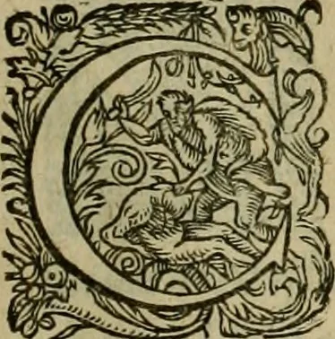 An illustration from Americae pars sexta, siue, Historiæ ab Hieronymo Bezono Mediolanese scriptæ, sectio tertia : res nõ minus nobiles & admiratione plenas continens, quàm præcedentes duæ : in hac enim reperies, qua ratione Hispani opuletissimas illas Peruäni regni prouincias occuparint, capto Rege Atabaliba : deide orta inter ipsos Hispanos in eo regno ciuilia bella : additus est breuis de fortunatis insulis cõmentariolus in duo capita distinctus : item additiones ad singula capita historiam illustrantes : accesit Perväni regni chorographica tabula ... : omnia elegantibus figuris in æs incisis expressa ;, 1596, leaf 126