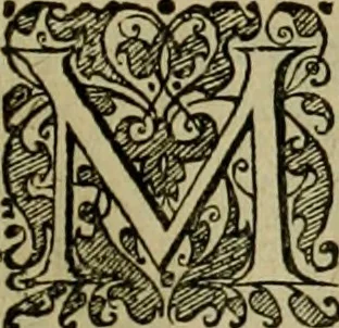 An illustration from Americae pars sexta, siue, Historiæ ab Hieronymo Bezono Mediolanese scriptæ, sectio tertia : res nõ minus nobiles & admiratione plenas continens, quàm præcedentes duæ : in hac enim reperies, qua ratione Hispani opuletissimas illas Peruäni regni prouincias occuparint, capto Rege Atabaliba : deide orta inter ipsos Hispanos in eo regno ciuilia bella : additus est breuis de fortunatis insulis cõmentariolus in duo capita distinctus : item additiones ad singula capita historiam illustrantes : accesit Perväni regni chorographica tabula ... : omnia elegantibus figuris in æs incisis expressa ;, 1596, leaf 128