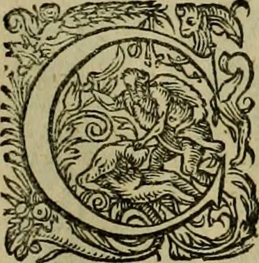 An illustration from Americae pars sexta, siue, Historiæ ab Hieronymo Bezono Mediolanese scriptæ, sectio tertia : res nõ minus nobiles & admiratione plenas continens, quàm præcedentes duæ : in hac enim reperies, qua ratione Hispani opuletissimas illas Peruäni regni prouincias occuparint, capto Rege Atabaliba : deide orta inter ipsos Hispanos in eo regno ciuilia bella : additus est breuis de fortunatis insulis cõmentariolus in duo capita distinctus : item additiones ad singula capita historiam illustrantes : accesit Perväni regni chorographica tabula ... : omnia elegantibus figuris in æs incisis expressa ;, 1596, leaf 130