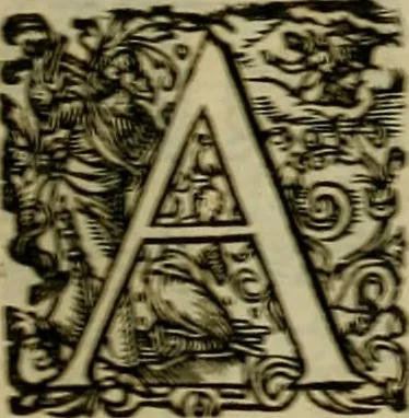 An illustration from Americae pars sexta, siue, Historiæ ab Hieronymo Bezono Mediolanese scriptæ, sectio tertia : res nõ minus nobiles & admiratione plenas continens, quàm præcedentes duæ : in hac enim reperies, qua ratione Hispani opuletissimas illas Peruäni regni prouincias occuparint, capto Rege Atabaliba : deide orta inter ipsos Hispanos in eo regno ciuilia bella : additus est breuis de fortunatis insulis cõmentariolus in duo capita distinctus : item additiones ad singula capita historiam illustrantes : accesit Perväni regni chorographica tabula ... : omnia elegantibus figuris in æs incisis expressa ;, 1596, leaf 132
