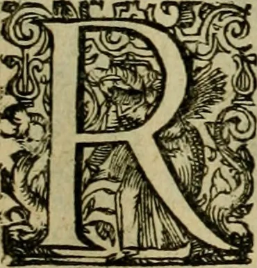 An illustration from Americae pars sexta, siue, Historiæ ab Hieronymo Bezono Mediolanese scriptæ, sectio tertia : res nõ minus nobiles & admiratione plenas continens, quàm præcedentes duæ : in hac enim reperies, qua ratione Hispani opuletissimas illas Peruäni regni prouincias occuparint, capto Rege Atabaliba : deide orta inter ipsos Hispanos in eo regno ciuilia bella : additus est breuis de fortunatis insulis cõmentariolus in duo capita distinctus : item additiones ad singula capita historiam illustrantes : accesit Perväni regni chorographica tabula ... : omnia elegantibus figuris in æs incisis expressa ;, 1596, leaf 138
