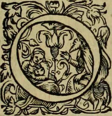 An illustration from Americae pars sexta, siue, Historiæ ab Hieronymo Bezono Mediolanese scriptæ, sectio tertia : res nõ minus nobiles & admiratione plenas continens, quàm præcedentes duæ : in hac enim reperies, qua ratione Hispani opuletissimas illas Peruäni regni prouincias occuparint, capto Rege Atabaliba : deide orta inter ipsos Hispanos in eo regno ciuilia bella : additus est breuis de fortunatis insulis cõmentariolus in duo capita distinctus : item additiones ad singula capita historiam illustrantes : accesit Perväni regni chorographica tabula ... : omnia elegantibus figuris in æs incisis expressa ;, 1596, leaf 142