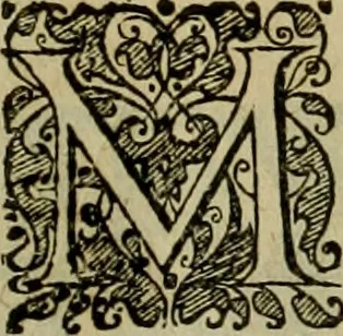 An illustration from Americae pars sexta, siue, Historiæ ab Hieronymo Bezono Mediolanese scriptæ, sectio tertia : res nõ minus nobiles & admiratione plenas continens, quàm præcedentes duæ : in hac enim reperies, qua ratione Hispani opuletissimas illas Peruäni regni prouincias occuparint, capto Rege Atabaliba : deide orta inter ipsos Hispanos in eo regno ciuilia bella : additus est breuis de fortunatis insulis cõmentariolus in duo capita distinctus : item additiones ad singula capita historiam illustrantes : accesit Perväni regni chorographica tabula ... : omnia elegantibus figuris in æs incisis expressa ;, 1596, leaf 146