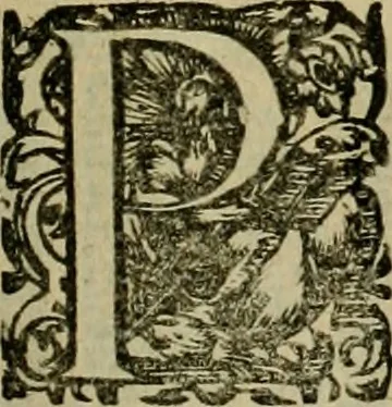 An illustration from Americae pars sexta, siue, Historiæ ab Hieronymo Bezono Mediolanese scriptæ, sectio tertia : res nõ minus nobiles & admiratione plenas continens, quàm præcedentes duæ : in hac enim reperies, qua ratione Hispani opuletissimas illas Peruäni regni prouincias occuparint, capto Rege Atabaliba : deide orta inter ipsos Hispanos in eo regno ciuilia bella : additus est breuis de fortunatis insulis cõmentariolus in duo capita distinctus : item additiones ad singula capita historiam illustrantes : accesit Perväni regni chorographica tabula ... : omnia elegantibus figuris in æs incisis expressa ;, 1596, leaf 148
