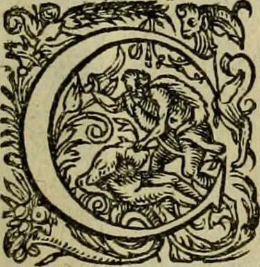 An illustration from Americae pars sexta, siue, Historiæ ab Hieronymo Bezono Mediolanese scriptæ, sectio tertia : res nõ minus nobiles & admiratione plenas continens, quàm præcedentes duæ : in hac enim reperies, qua ratione Hispani opuletissimas illas Peruäni regni prouincias occuparint, capto Rege Atabaliba : deide orta inter ipsos Hispanos in eo regno ciuilia bella : additus est breuis de fortunatis insulis cõmentariolus in duo capita distinctus : item additiones ad singula capita historiam illustrantes : accesit Perväni regni chorographica tabula ... : omnia elegantibus figuris in æs incisis expressa ;, 1596, leaf 154