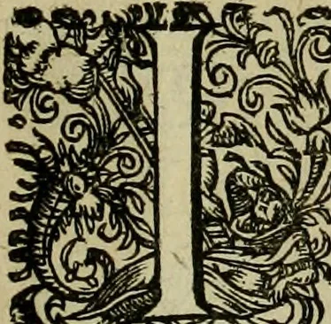An illustration from Americae pars sexta, siue, Historiæ ab Hieronymo Bezono Mediolanese scriptæ, sectio tertia : res nõ minus nobiles & admiratione plenas continens, quàm præcedentes duæ : in hac enim reperies, qua ratione Hispani opuletissimas illas Peruäni regni prouincias occuparint, capto Rege Atabaliba : deide orta inter ipsos Hispanos in eo regno ciuilia bella : additus est breuis de fortunatis insulis cõmentariolus in duo capita distinctus : item additiones ad singula capita historiam illustrantes : accesit Perväni regni chorographica tabula ... : omnia elegantibus figuris in æs incisis expressa ;, 1596, leaf 156