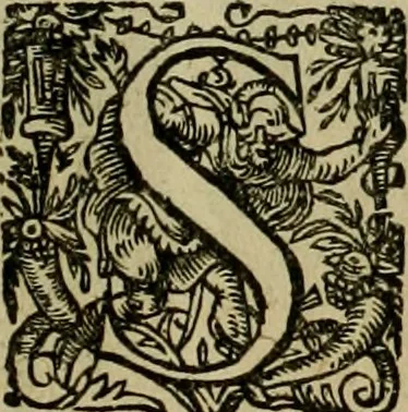 An illustration from Americae pars sexta, siue, Historiæ ab Hieronymo Bezono Mediolanese scriptæ, sectio tertia : res nõ minus nobiles & admiratione plenas continens, quàm præcedentes duæ : in hac enim reperies, qua ratione Hispani opuletissimas illas Peruäni regni prouincias occuparint, capto Rege Atabaliba : deide orta inter ipsos Hispanos in eo regno ciuilia bella : additus est breuis de fortunatis insulis cõmentariolus in duo capita distinctus : item additiones ad singula capita historiam illustrantes : accesit Perväni regni chorographica tabula ... : omnia elegantibus figuris in æs incisis expressa ;, 1596, leaf 160