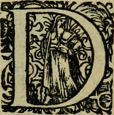 An illustration from Americae pars sexta, siue, Historiæ ab Hieronymo Bezono Mediolanese scriptæ, sectio tertia : res nõ minus nobiles & admiratione plenas continens, quàm præcedentes duæ : in hac enim reperies, qua ratione Hispani opuletissimas illas Peruäni regni prouincias occuparint, capto Rege Atabaliba : deide orta inter ipsos Hispanos in eo regno ciuilia bella : additus est breuis de fortunatis insulis cõmentariolus in duo capita distinctus : item additiones ad singula capita historiam illustrantes : accesit Perväni regni chorographica tabula ... : omnia elegantibus figuris in æs incisis expressa ;, 1596, leaf 162