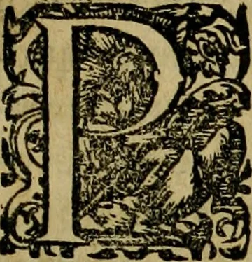 An illustration from Americae pars sexta, siue, Historiæ ab Hieronymo Bezono Mediolanese scriptæ, sectio tertia : res nõ minus nobiles & admiratione plenas continens, quàm præcedentes duæ : in hac enim reperies, qua ratione Hispani opuletissimas illas Peruäni regni prouincias occuparint, capto Rege Atabaliba : deide orta inter ipsos Hispanos in eo regno ciuilia bella : additus est breuis de fortunatis insulis cõmentariolus in duo capita distinctus : item additiones ad singula capita historiam illustrantes : accesit Perväni regni chorographica tabula ... : omnia elegantibus figuris in æs incisis expressa ;, 1596, leaf 20