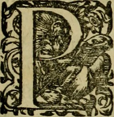 An illustration from Americae pars sexta, siue, Historiæ ab Hieronymo Bezono Mediolanese scriptæ, sectio tertia : res nõ minus nobiles & admiratione plenas continens, quàm præcedentes duæ : in hac enim reperies, qua ratione Hispani opuletissimas illas Peruäni regni prouincias occuparint, capto Rege Atabaliba : deide orta inter ipsos Hispanos in eo regno ciuilia bella : additus est breuis de fortunatis insulis cõmentariolus in duo capita distinctus : item additiones ad singula capita historiam illustrantes : accesit Perväni regni chorographica tabula ... : omnia elegantibus figuris in æs incisis expressa ;, 1596, leaf 28