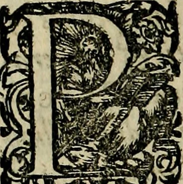 An illustration from Americae pars sexta, siue, Historiæ ab Hieronymo Bezono Mediolanese scriptæ, sectio tertia : res nõ minus nobiles & admiratione plenas continens, quàm præcedentes duæ : in hac enim reperies, qua ratione Hispani opuletissimas illas Peruäni regni prouincias occuparint, capto Rege Atabaliba : deide orta inter ipsos Hispanos in eo regno ciuilia bella : additus est breuis de fortunatis insulis cõmentariolus in duo capita distinctus : item additiones ad singula capita historiam illustrantes : accesit Perväni regni chorographica tabula ... : omnia elegantibus figuris in æs incisis expressa ;, 1596, leaf 39