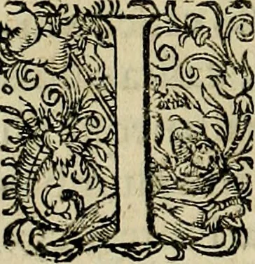An illustration from Americae pars sexta, siue, Historiæ ab Hieronymo Bezono Mediolanese scriptæ, sectio tertia : res nõ minus nobiles & admiratione plenas continens, quàm præcedentes duæ : in hac enim reperies, qua ratione Hispani opuletissimas illas Peruäni regni prouincias occuparint, capto Rege Atabaliba : deide orta inter ipsos Hispanos in eo regno ciuilia bella : additus est breuis de fortunatis insulis cõmentariolus in duo capita distinctus : item additiones ad singula capita historiam illustrantes : accesit Perväni regni chorographica tabula ... : omnia elegantibus figuris in æs incisis expressa ;, 1596, leaf 45