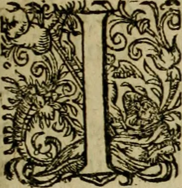 An illustration from Americae pars sexta, siue, Historiæ ab Hieronymo Bezono Mediolanese scriptæ, sectio tertia : res nõ minus nobiles & admiratione plenas continens, quàm præcedentes duæ : in hac enim reperies, qua ratione Hispani opuletissimas illas Peruäni regni prouincias occuparint, capto Rege Atabaliba : deide orta inter ipsos Hispanos in eo regno ciuilia bella : additus est breuis de fortunatis insulis cõmentariolus in duo capita distinctus : item additiones ad singula capita historiam illustrantes : accesit Perväni regni chorographica tabula ... : omnia elegantibus figuris in æs incisis expressa ;, 1596, leaf 6