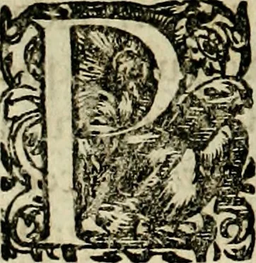 An illustration from Americae pars sexta, siue, Historiæ ab Hieronymo Bezono Mediolanese scriptæ, sectio tertia : res nõ minus nobiles & admiratione plenas continens, quàm præcedentes duæ : in hac enim reperies, qua ratione Hispani opuletissimas illas Peruäni regni prouincias occuparint, capto Rege Atabaliba : deide orta inter ipsos Hispanos in eo regno ciuilia bella : additus est breuis de fortunatis insulis cõmentariolus in duo capita distinctus : item additiones ad singula capita historiam illustrantes : accesit Perväni regni chorographica tabula ... : omnia elegantibus figuris in æs incisis expressa ;, 1596, leaf 61