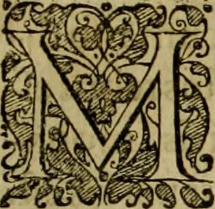 An illustration from Americae pars sexta, siue, Historiæ ab Hieronymo Bezono Mediolanese scriptæ, sectio tertia : res nõ minus nobiles & admiratione plenas continens, quàm præcedentes duæ : in hac enim reperies, qua ratione Hispani opuletissimas illas Peruäni regni prouincias occuparint, capto Rege Atabaliba : deide orta inter ipsos Hispanos in eo regno ciuilia bella : additus est breuis de fortunatis insulis cõmentariolus in duo capita distinctus : item additiones ad singula capita historiam illustrantes : accesit Perväni regni chorographica tabula ... : omnia elegantibus figuris in æs incisis expressa ;, 1596, leaf 74