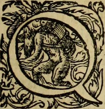 An illustration from Americae pars sexta, siue, Historiæ ab Hieronymo Bezono Mediolanese scriptæ, sectio tertia : res nõ minus nobiles & admiratione plenas continens, quàm præcedentes duæ : in hac enim reperies, qua ratione Hispani opuletissimas illas Peruäni regni prouincias occuparint, capto Rege Atabaliba : deide orta inter ipsos Hispanos in eo regno ciuilia bella : additus est breuis de fortunatis insulis cõmentariolus in duo capita distinctus : item additiones ad singula capita historiam illustrantes : accesit Perväni regni chorographica tabula ... : omnia elegantibus figuris in æs incisis expressa ;, 1596, leaf 76