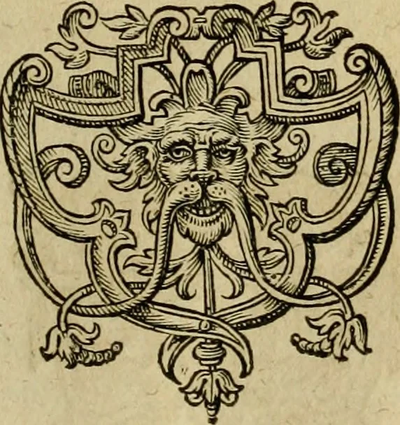 An illustration from Americae pars sexta, siue, Historiæ ab Hieronymo Bezono Mediolanese scriptæ, sectio tertia : res nõ minus nobiles & admiratione plenas continens, quàm præcedentes duæ : in hac enim reperies, qua ratione Hispani opuletissimas illas Peruäni regni prouincias occuparint, capto Rege Atabaliba : deide orta inter ipsos Hispanos in eo regno ciuilia bella : additus est breuis de fortunatis insulis cõmentariolus in duo capita distinctus : item additiones ad singula capita historiam illustrantes : accesit Perväni regni chorographica tabula ... : omnia elegantibus figuris in æs incisis expressa ;, 1596, leaf 84