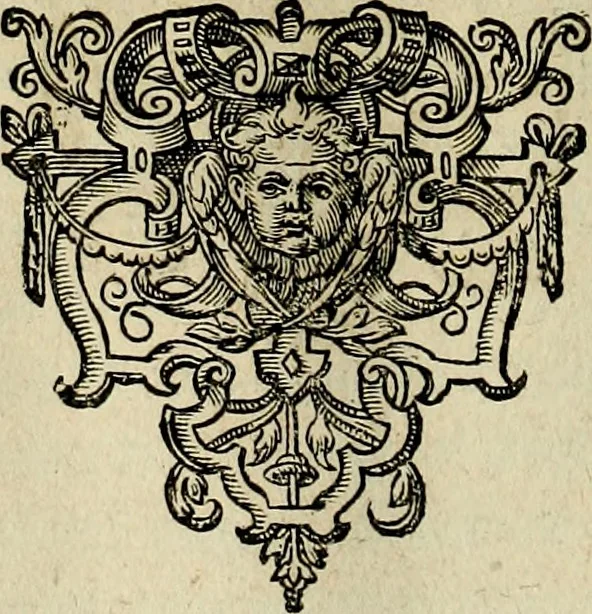 An illustration from Americae pars sexta, siue, Historiæ ab Hieronymo Bezono Mediolanese scriptæ, sectio tertia : res nõ minus nobiles & admiratione plenas continens, quàm præcedentes duæ : in hac enim reperies, qua ratione Hispani opuletissimas illas Peruäni regni prouincias occuparint, capto Rege Atabaliba : deide orta inter ipsos Hispanos in eo regno ciuilia bella : additus est breuis de fortunatis insulis cõmentariolus in duo capita distinctus : item additiones ad singula capita historiam illustrantes : accesit Perväni regni chorographica tabula ... : omnia elegantibus figuris in æs incisis expressa ;, 1596, leaf 85